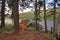 Campsite on a lake