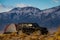 A campsite in the Nevada Wilderness with a tent and a Jeep