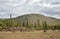 Campsite in northern Mongolian tundra