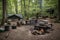 campsite setup with cooking gear and campfire surrounded by woods