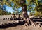 Campsite on the southern slopes of Teide