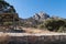 Campsite view at Aguirre Springs, New Mexico.