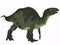 Camptosaurus over White