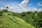 Campuhan Ridge Walk, Ubud, Bali, Indonesia