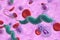 Campylobacter jejuni bacteria in the blood flow - 3d illustration closeup view