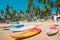 Canacona, Goa, India. Canoe Kayak For Rent Parked On Famous Palolem Beach On Background Tall Palm Tree In Summer Sunny