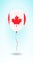 Canada balloon with flag. Ballon in the Country National Colors.