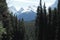 Canada- Banff- Panorama of Forests and Snow Covered Mountains
