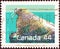 CANADA - CIRCA 1988: A stamp printed in Canada from the `Canadian Mammals` issue shows Walrus Odobenus rosmarus, circa 1988.