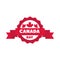 Canada day, maple leaves celebration label decoration flat style icon