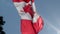 Canada Flag in front of a clear blue sky vertical video.