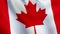 Canada flag waving in the wind - animated