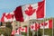 Canada flags waving over blue sky