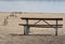 Canada geese approaching empty picnic table