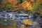 Canada geese floating amid fall foliage reflections, Canton, Con