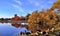 Canada Geese and Red and Golden Foliage