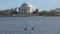 Canada geese swimming on the lake in front of the jefferson memorial