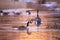 Canada goose floating with root hanging from its beak and flock of birds in soft focus background