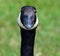 Canada goose is a large wild goose species with a black head and neck,