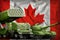 Canada heavy military armored vehicles concept on the national flag background. 3d Illustration
