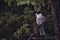 Canada jay perched on branch in the forest