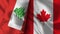 Canada and Lebanon Realistic Flag â€“ Fabric Texture Illustration