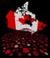 Canada map flag with abstract dollars illustration