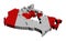 Canada map flag mosaic illustration