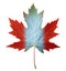 Canada Maple Leaf