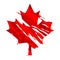 Canada maple leaf