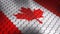Canada shield flag