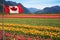 Canada Tulip fields