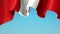 Canada waving flag on blue sky for banner design. Animated background - canada waving national flag. Festive patriotic design