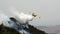 Canadair vs fire