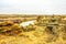 Canadian badlands, Writing on Stone Provincial Park, Alberta, Canada