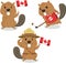 Canadian beaver cartoon illustrations