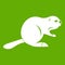 Canadian beaver icon green