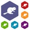 Canadian beaver icons set hexagon