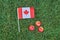 Canadian flag on green grass background wirh red apples. Happy Canada day. 1st July