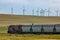 Canadian freight train running in the countryside