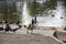 Canadian geese, crows and pigeons grazing on the banks of a lake at Lincoln Park in Los Angeles California