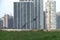 Canadian geese fly in front of highrise condo buildings in Chicago with grass in the foreground