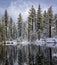 Canadian Geese in Reflection Lake, Lassen National Park`