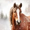 Canadian Horse Head Image With Snowy Scrub Forest Background