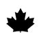 Canadian leaf vector illustration design logo black and white