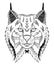 Canadian lynx head zentangle stylized, vector, illustration