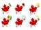 Canadian Maple Leaf Cartoons