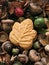 Canadian maple leaf cookie on bed of autumn nuts, fruits, and seeds