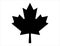 Canadian maple leaf silhouette vector art white background