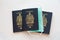 Canadian passports and covid masks